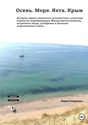 Побережье Черного Моря Крым Украина — стоковые фотографии и другие картинки  Севастополь - Крым - Севастополь - Крым, 2015, Без людей - iStock