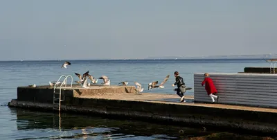 Осень. Море. Яхта. Крым История одного (не)лепого приключения с участием  невезучих морепроходцев, Министерства обороны, встречного ветра, дельфинов  и бутылки подсолнечного масла, Мария Ращукина – скачать книгу fb2, epub,  pdf на ЛитРес