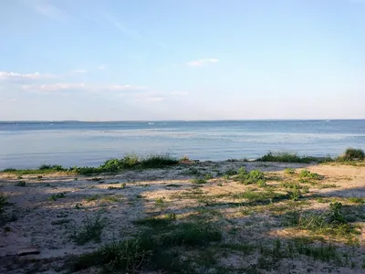 В Таганроге открыт купальный сезон | Новости Таганрога