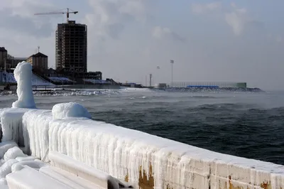 Во Владивостоке утонула в море девушка, искавшая место для селфи - РИА  Новости, 27.08.2021