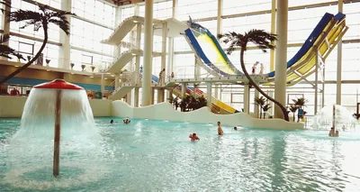 Бассейн аквапарка МОРЕОН - Picture of Moreon Aquapark, Moscow - Tripadvisor