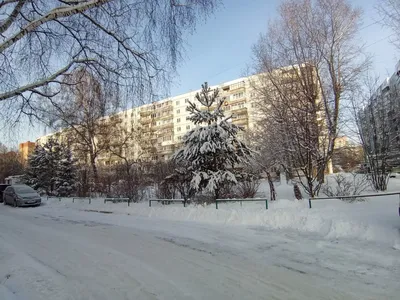 Найдено оптимальное место для конференций и корпоративов в Новосибирске -  МК Новосибирск