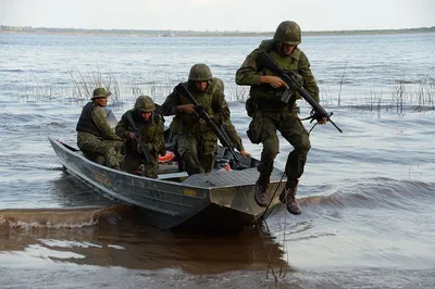 Сегодня — День морской пехоты России — Дмитриевский вестник