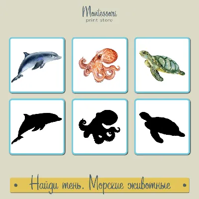 Удивительные морские игуаны