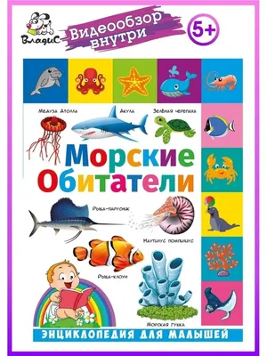 Учебное пособие РУЗ Ко Морские животные. Настольное издание купить по цене  360 ₽ в интернет-магазине Детский мир