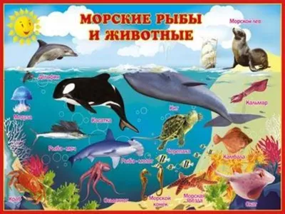 Владис Морские обитатели. Энциклопедия для малышей. Книги для детей