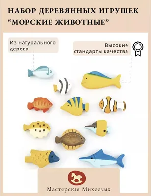 Прекрасные морские рыбы в коралловом рифе Стоковое Изображение -  изображение насчитывающей померанцово, подныривание: 200426007