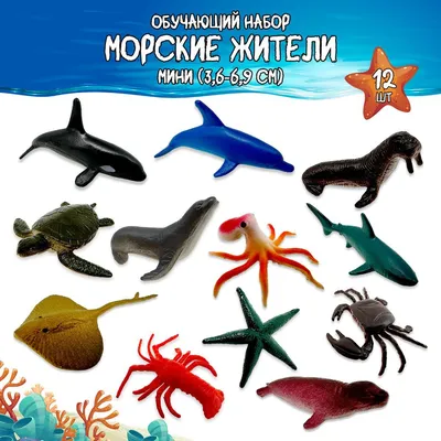 Игровой набор миниатюрных фигурок \"Морские жители\" для малышей, 12 штук морских  жителей, животные коллекционные, развивающие игрушки для детей, обучающий  набор для мальчика и для девочки - купить с доставкой по выгодным ценам