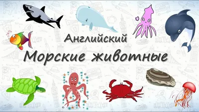 Морские животные - купить книгу Морские животные в Минске — Издательство  Эксмо на OZ.by