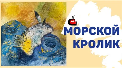 Судак морской