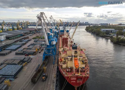 Морской порт санкт петербург фото фотографии