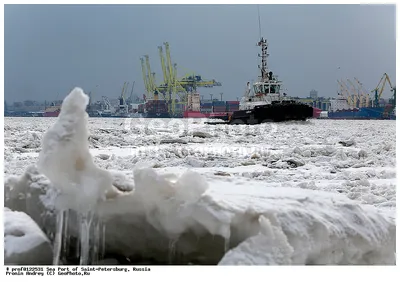 Морской пассажирский порт Санкт-Петербург установил очередной рекорд» в  блоге «Статистика» - Сделано у нас