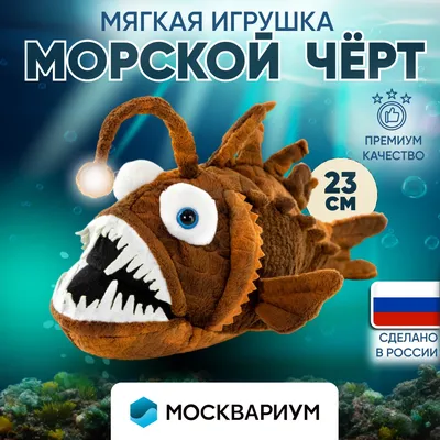 Морской черт, 1-2кг — купить в Москве по выгодной цене