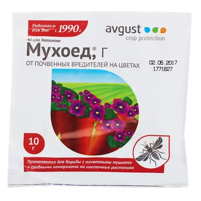 Мошки в комнатных цветах и рассаде исчезнут: этот безопасный продукт с  кухни избавит от насекомых за считанные дни - новости Хибины.ru / Новости  за декабрь 2023