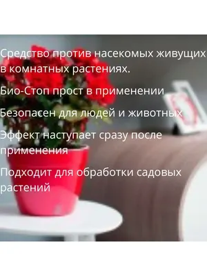 Обработка от мошек в квартире и на участке