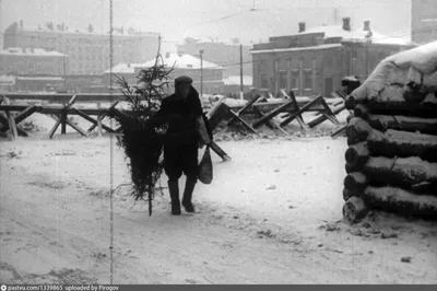 22 июня 1941 года: как началась Великая Отечественная война | Сюжеты |  Baltnews - новостной портал на русском языке в Эстонии, Прибалтика, сводки  событий, мнения, комментарии.