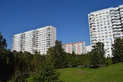 File:Юлий Германович Шуб - Москва, 1980 год.jpg - Wikimedia Commons