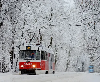 Топ-10 лучших событий на выходные 24 и 25 декабря в Москве 2022