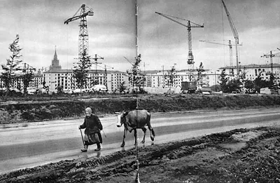 Редкие фотографии Москвы 60-х годов | Тамара Бурова | Дзен