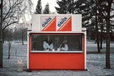 Помните? Фотографии Москвы и москвичей в середине 1980-х годов - На руинах  Страны Советов - 18 января - 43188014994 - Медиаплатформа МирТесен