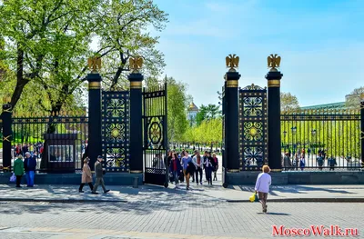 Парад цветов в Александровском саду. Фотограф Николай Сапронов