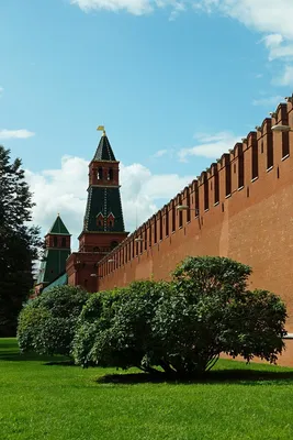 Александровский сад, Москва - «Александровский сад - парк в центре Москвы.  Мои впечатления» | отзывы