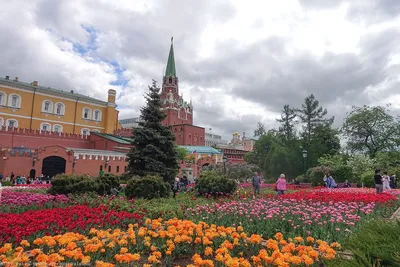 Александровский сад, Москва (Кремль). Памятники, достопримечательности, как  добраться, отели рядом – Туристер.Ру