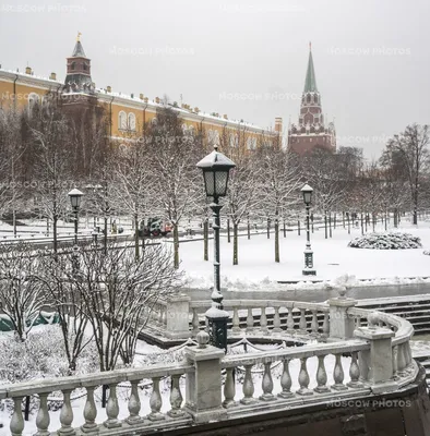 Александровский сад - Художники, выставки, картины...