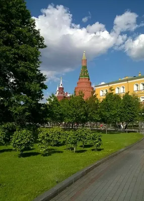 Александровский сад, Москва - «Александровский сад - парк в центре Москвы.  Мои впечатления» | отзывы