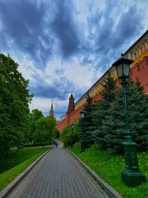 Александровский сад зимой - фото №572 - Moscow Photos