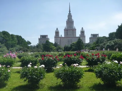 Московский ботанический сад: рассказ, фото, как добраться - GoodGourist.ru