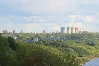 ЖК «Мёд» в Нижнем Новгороде: расположение, планировки, цены