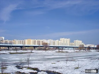 В Бутово волей-неволей становишься домоседом». Как живут москвичи в одном  из самых «страшных» спальных районов - Мослента