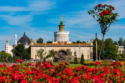 Отпуск у Кремля. Что нового предложит Москва туристам этим летом -  Ведомости.Город