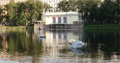 Страшные легенды Патриарших прудов Москвы | Маленькие путешествия | Дзен