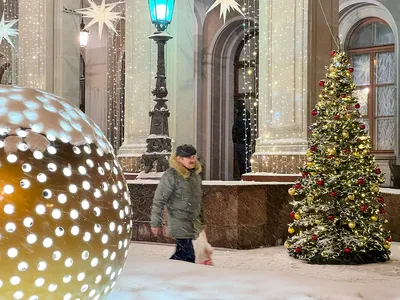 🎄 Москва перед Новым годом преображается, словно по волшебству: по улицам  развешены гирлянды, украшены витрины магазинов,.. | ВКонтакте