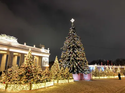 Новогодняя прогулка по Москве «Путешествие в Рождество» — Узнай Москву