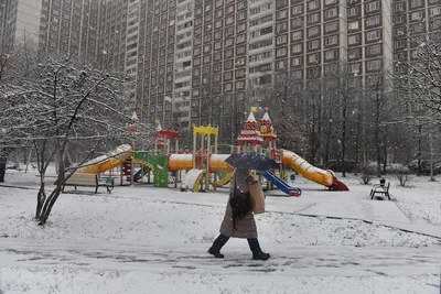 МЧС предупредило москвичей о снеге с дождем и гололеде :: Новости :: ТВ  Центр