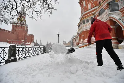 Москвичам рассказали о погоде в первый день зимы - РИА Новости, 01.12.2023