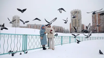 GISMETEO: Погода в Москве: пора менять резину! - О погоде | Новости погоды.