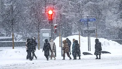 На Москву надвигается аномально морозная погода / 04 декабря 2023 | Москва,  Новости дня 04.12.23 | © РИА Новый День