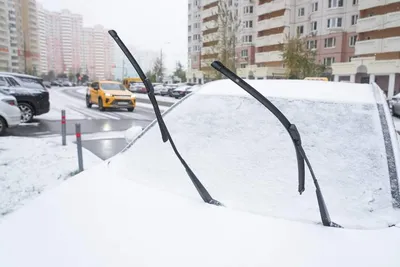 Погода в Москве в новогоднюю ночь может стать сюрпризом