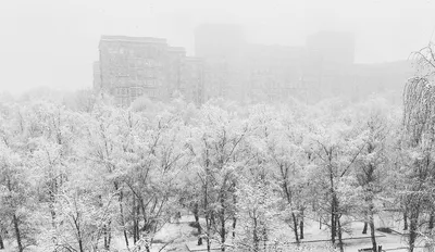 Всё будет аномально: Москву на неделе ждет снегопад века | Статьи | Известия