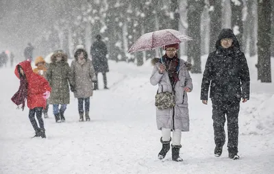 Сегодня в Москве | Пикабу