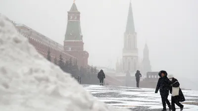 Фото и видео снегопада в Москве 26-27 ноября 2023 года: Последние новости -  KP.RU