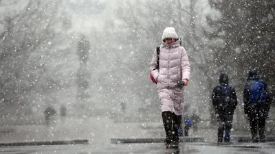 Сколько в Москве выпало снега