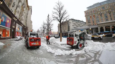 Какая погода будет в Москве и других городах в выходные