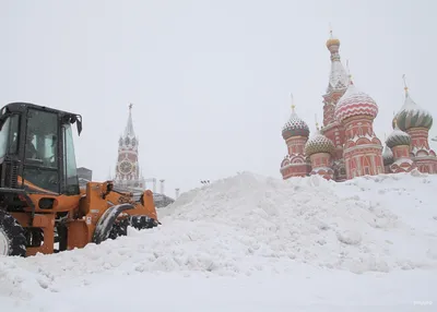 В Москве выпал рекордный объем снега за сутки - Газета.Ru | Новости