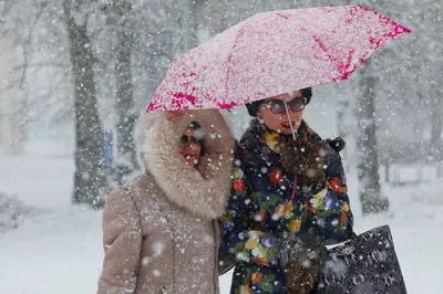 Снегопад в Москве. Фоторепортаж — РБК