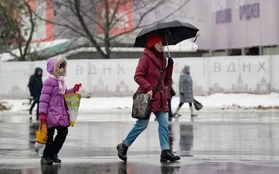 Как «тропический дождь» в Москве в декабре затопил улицы. Видео — РБК